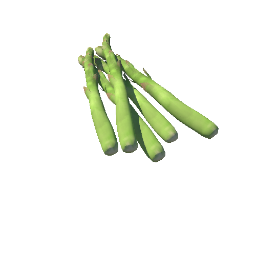 Asparagus (Espárrago)